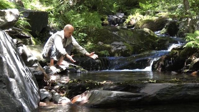 Transfiguration 2011 Chris by the stream